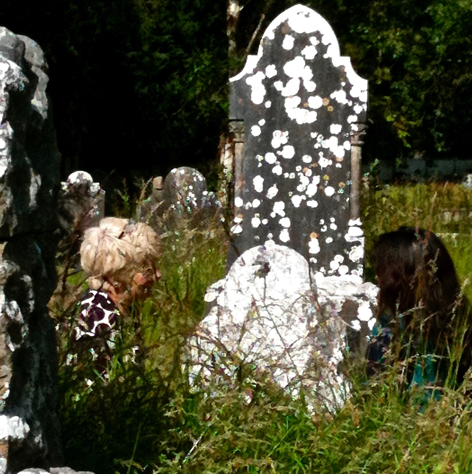 Read more about the article Kim Rosen ~ Feast of Losses Poetry Dive Workshop: Dying into Life, Living into Death